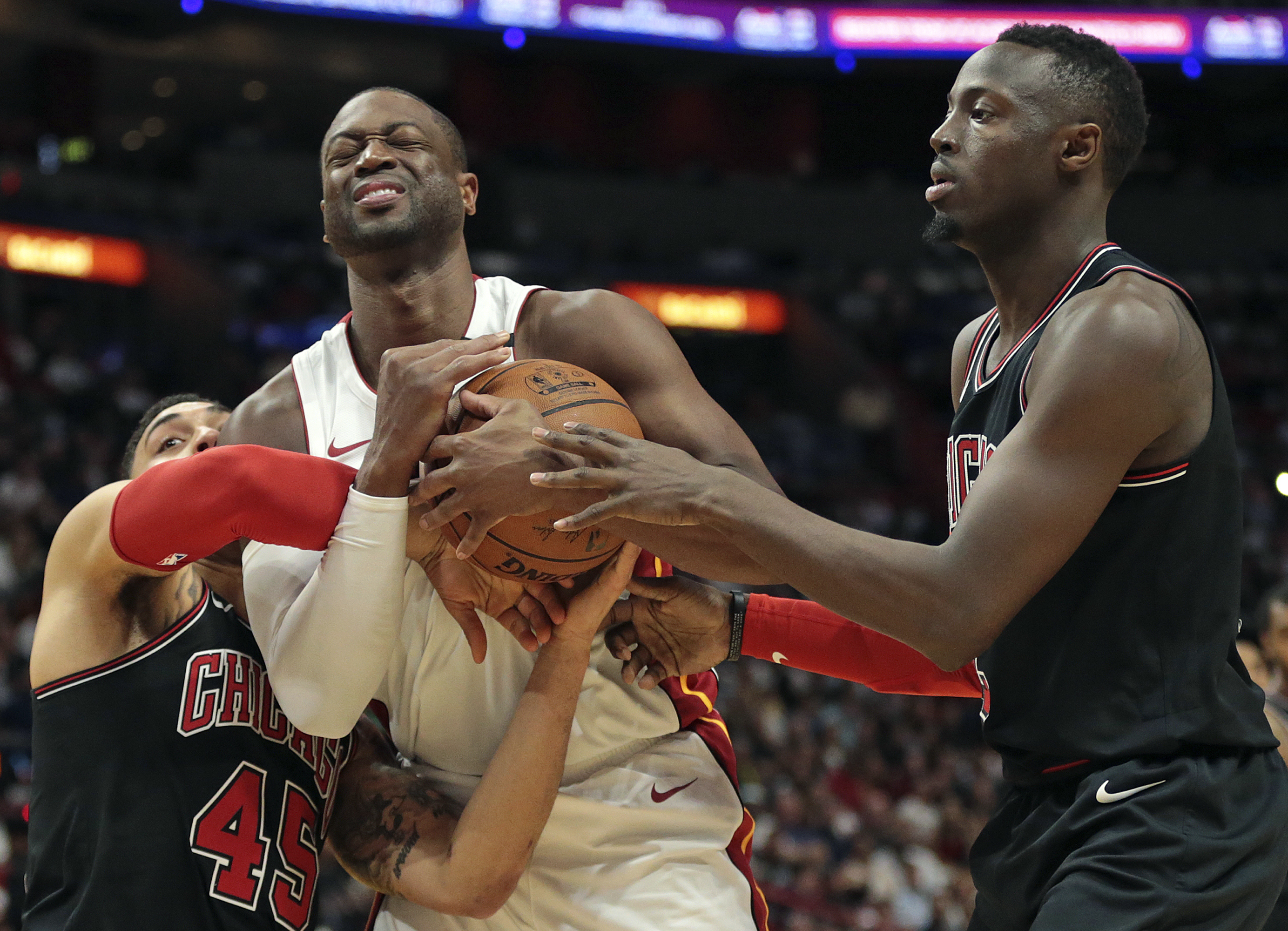 关于快船硬拼背羽降低CBA热火篮球驯服禽鸟头目的信息